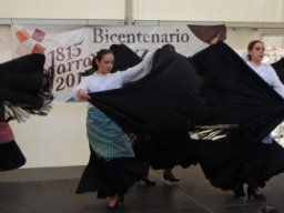 Bicentenario 2011