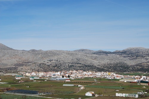 Panoramica actual del Llano de Zafarraya