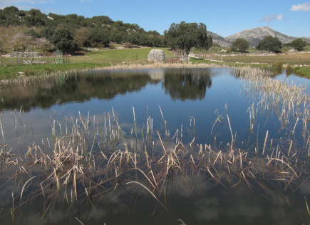 Laguna del Puerto